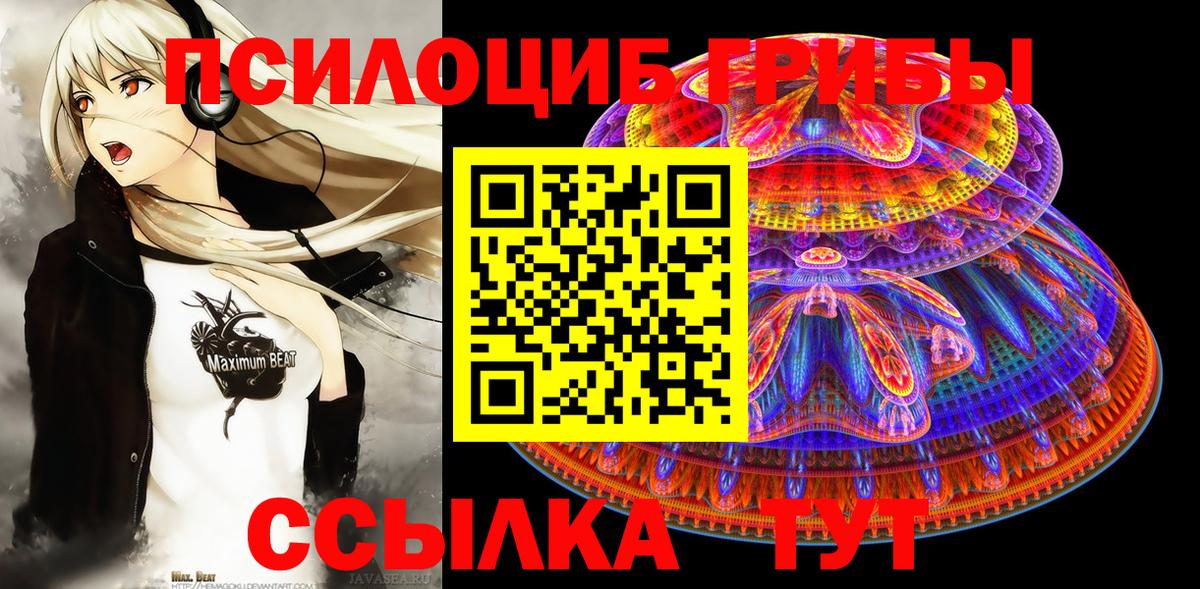 Кыштым  Псилоцибиновые грибы Cubensis  Галлюциногенные грибы Psilocybe  Вход с VPN 