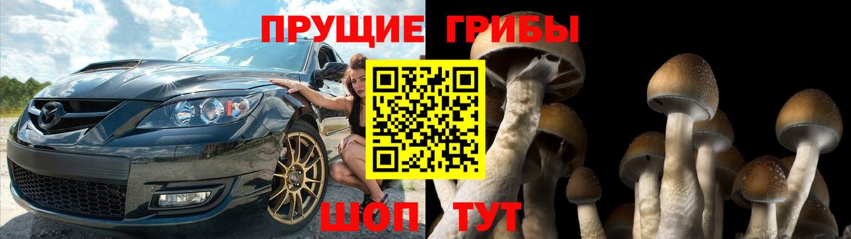 Псилоцибиновые грибы прущие грибы Кыштым